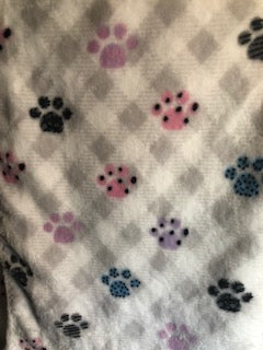 5 - Minky Scarf - Multi colored Paws